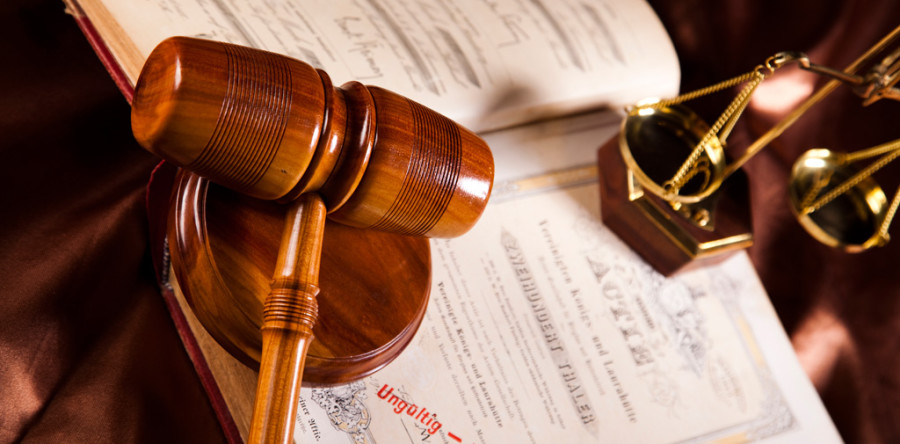 Suspendisse arcu nisl